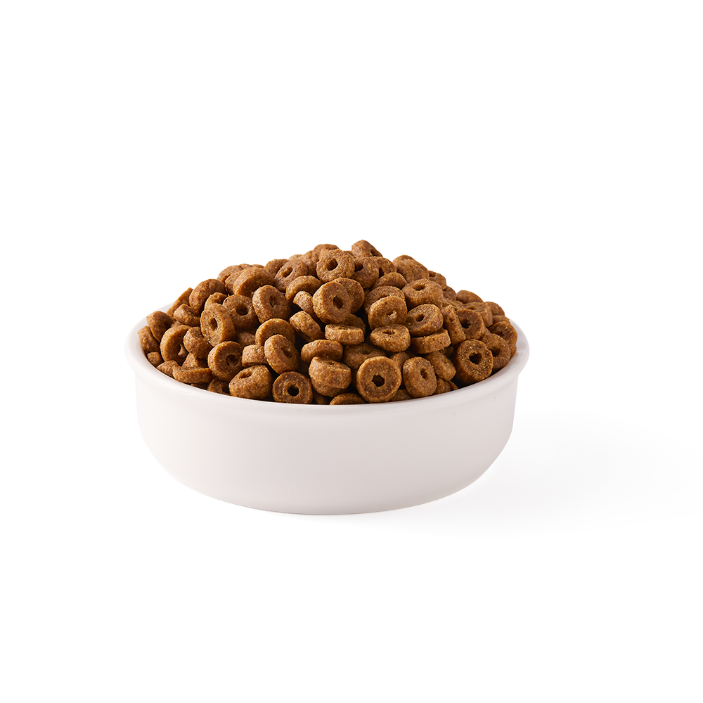 Organic dry food for cats Yarrah